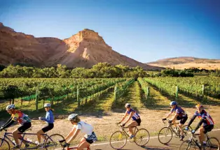 Biking near Grand Junction and Palisade