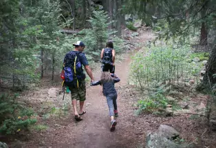Families will love exploring the evergreen forests.