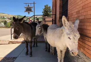 Historic Cripple Creek