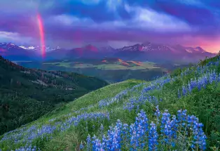 You may come to Telluride for the skiing, but you'll stay for the summers