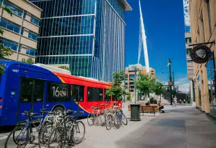 Free 16th Street MallRide