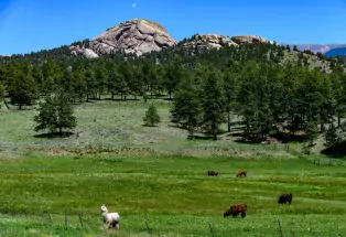 Dome Rock near Cripple Creek