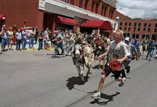 Donkey Derby Days in Cripple Creek