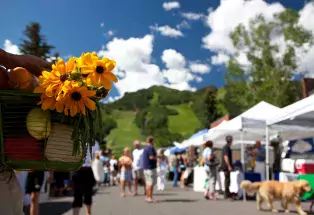 tents at colorado farmers market