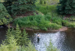 Colorado River Fly-Fishing near Granby