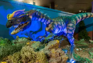 Dinosaur Journey Museum in Fruita