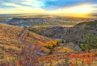 Golden in the fall