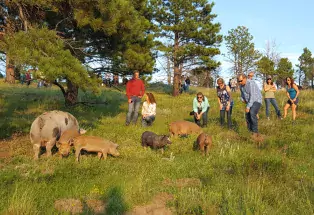 Guests mingle with livestock at A Grazing Life's farm dinners