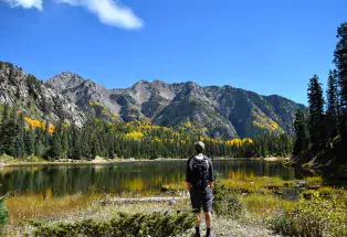 Hike through golden forests in the fall