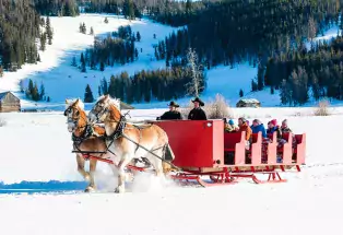 Sleigh Ride at Keystone Resort