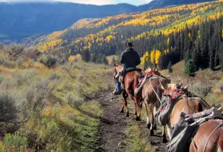 Horseback riding near Meeker