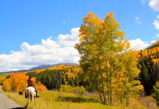 Fall on horseback in Meeker