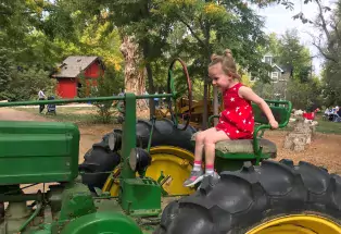 A Day at Sunflower Farm