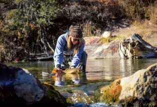 Winter Fly Fishing in Colorado