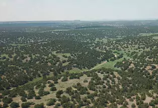 The Wild Animal Refuge expansion