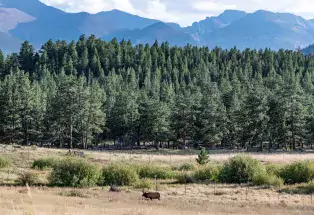Rocky Mountain National Park