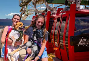Ride the gondola with your best four-legged friends
