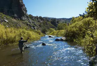 Go fly-fishing on the Poudre River.