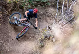 REEB cycles are built for all terrain
