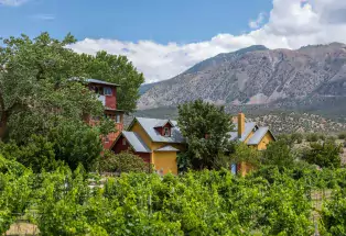 Sutcliffe Vineyards in Cortez