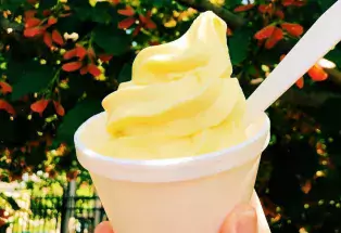 Vegan Dole Whip from Sweet Sweetz