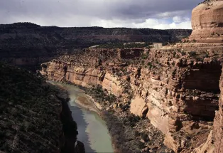 Norwood Vacations, Activities & Things To Do | Colorado.com