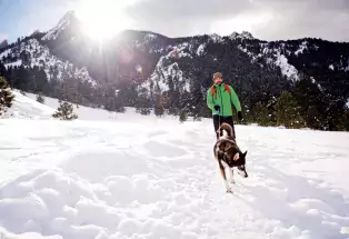 Plan snowy playtime with your pup in Colorado this winter