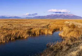 Alamosa National Wildlife Refuge