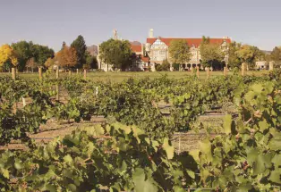 The Winery at Holy Cross Abbey