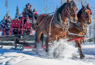 Dash Through the Snow on a Sleigh Ride at Snow Mountain Ranch