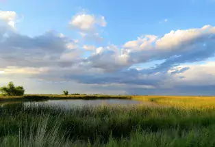 Alamosa National Wildlife Refuge
