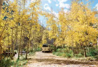 Camper van road trip through golden aspens