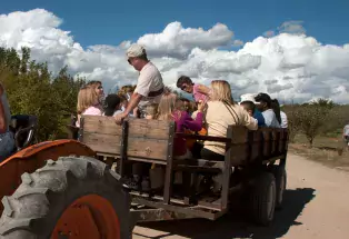 Wagon ride at a farm near Pueblo, CO