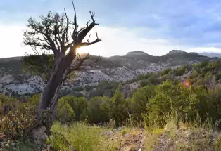 Garden Park near Cañon City