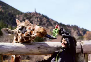 Family-Friendly Animal Encounters in Colorado Family-Friendly Animal Encounters in Colorado