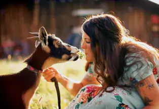 Making goat friends at Shepperly Farm