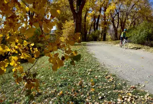 Cycling in a Highlands Ranch park