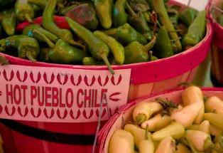 Barrels of hot chiles at the Pueblo Chile & Frijoles Festival in Pueblo, CO