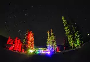 Dine in the Moonlight