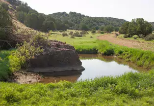 A picturesque photo of the Wild Animal Sanctuary's addition, the Wild Animal Refuge in southern Colorado. In the foreground s a small pond of shallow water surrounded by a small cliff of rocks and lush grass. To the right of the photo is a wide, red dirt trail that winds out of view. Beyond the pond and the trail is a hill full of thick, dark green trees under a sun-filled sky.