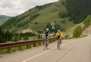 The sales cycling co