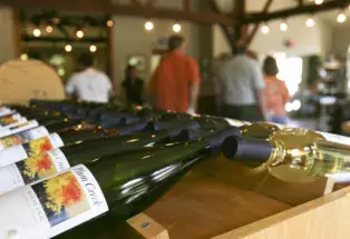 Wine tasting in Colorado