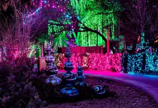 Denver's Zoo Lights