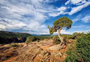 Black Canyon of the Gunnison National Park