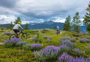 Biking among blooms in Frisco
