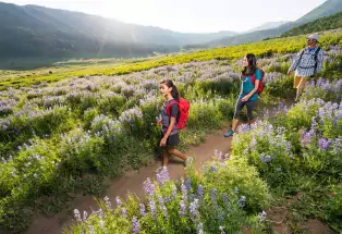 Protect natural areas by sticking to the trails. 