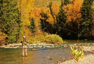 Fly-fishing on Blue River's Gold Medal Waters