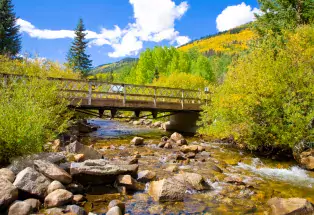 Fall Color near Salida