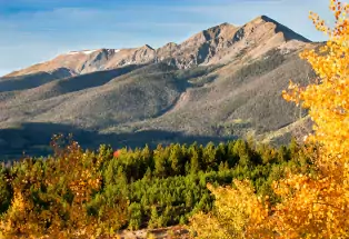 Dillon in autumn