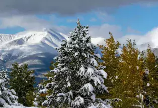 Mt. Elbert, near Leadville